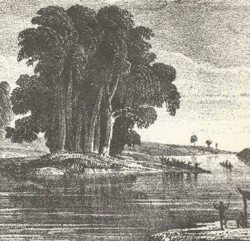 william r clark charles sturt den australiska utorskningens fader upptackte darlingfloden 1828 och foljde den nedstroms till dess sammanflode med murtay floden. oil painting image